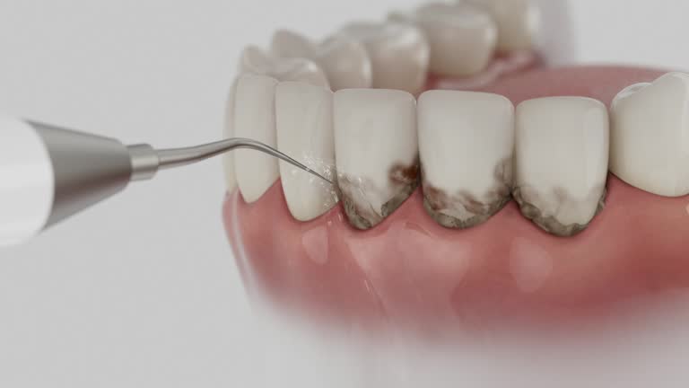 Reliable Dental contractor in Tuscaloosa, AL by Dentist Open Now